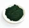 Сухой экстракт спирулины (лат. Spirulina)